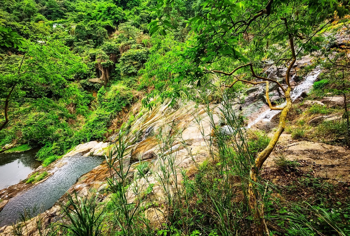 深圳马峦山郊野公园 掠影