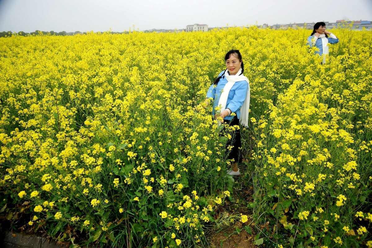 环境人像---油菜花田的美女！
