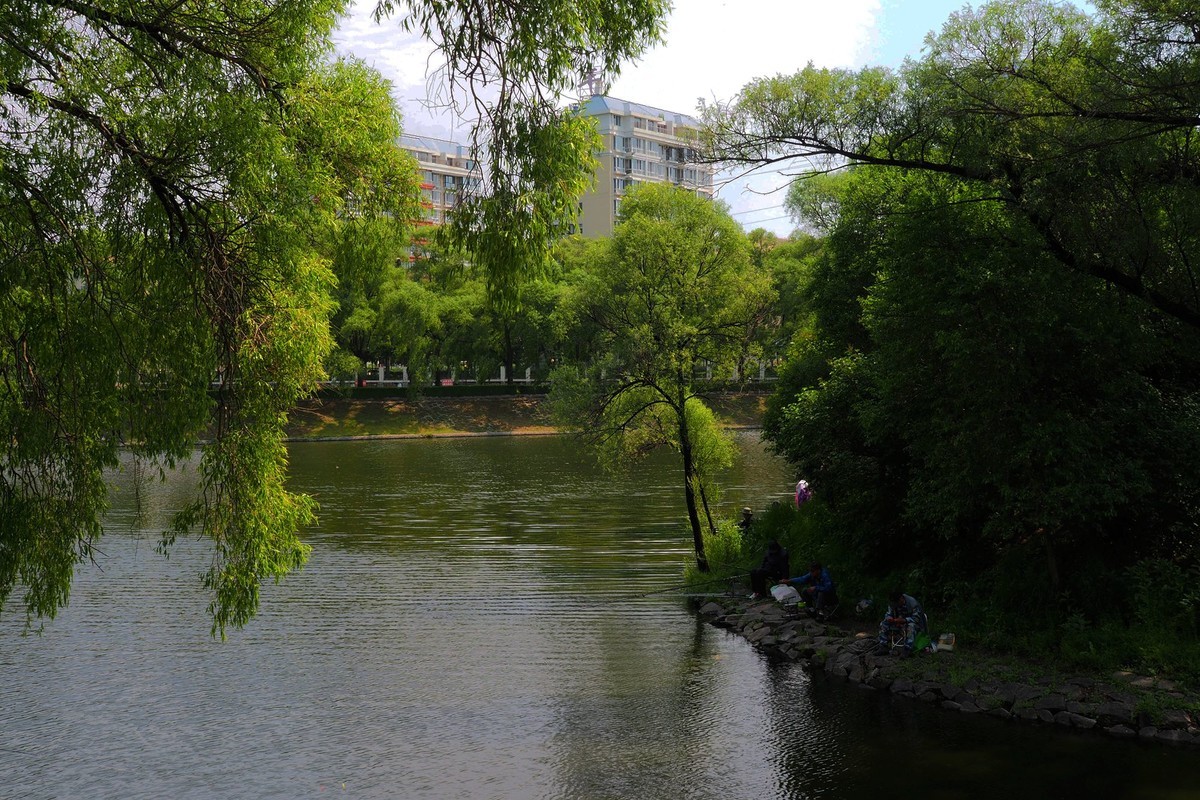 阳明公园小景（5）