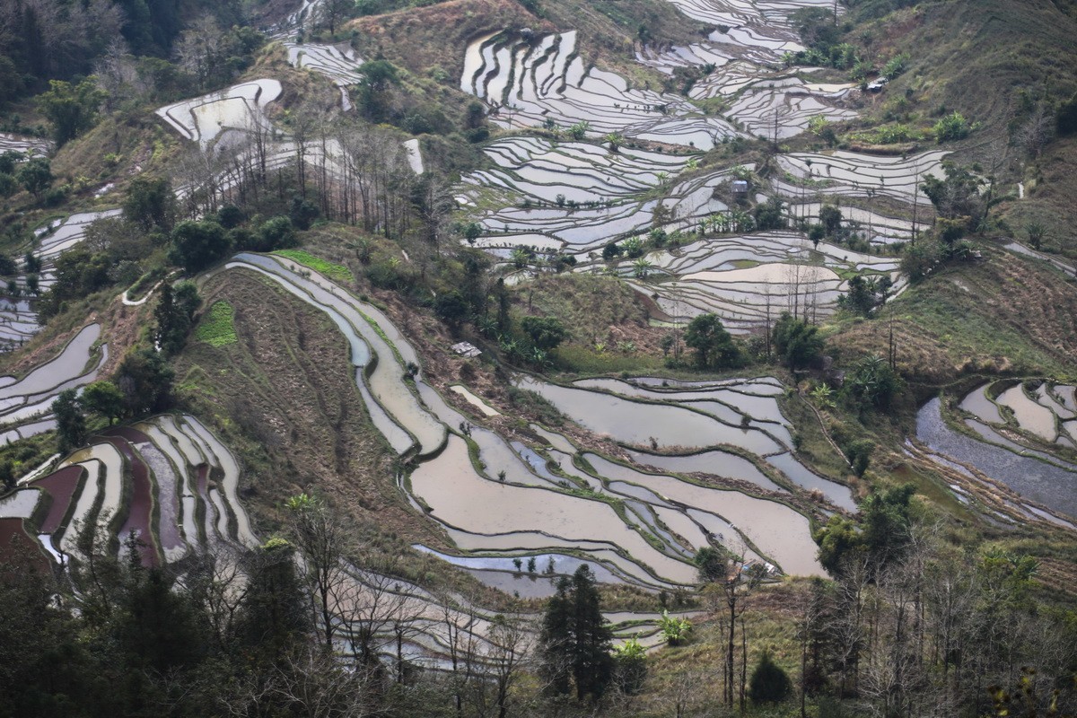 元阳梯田5-----老虎嘴梯田-中关村在线摄影论坛