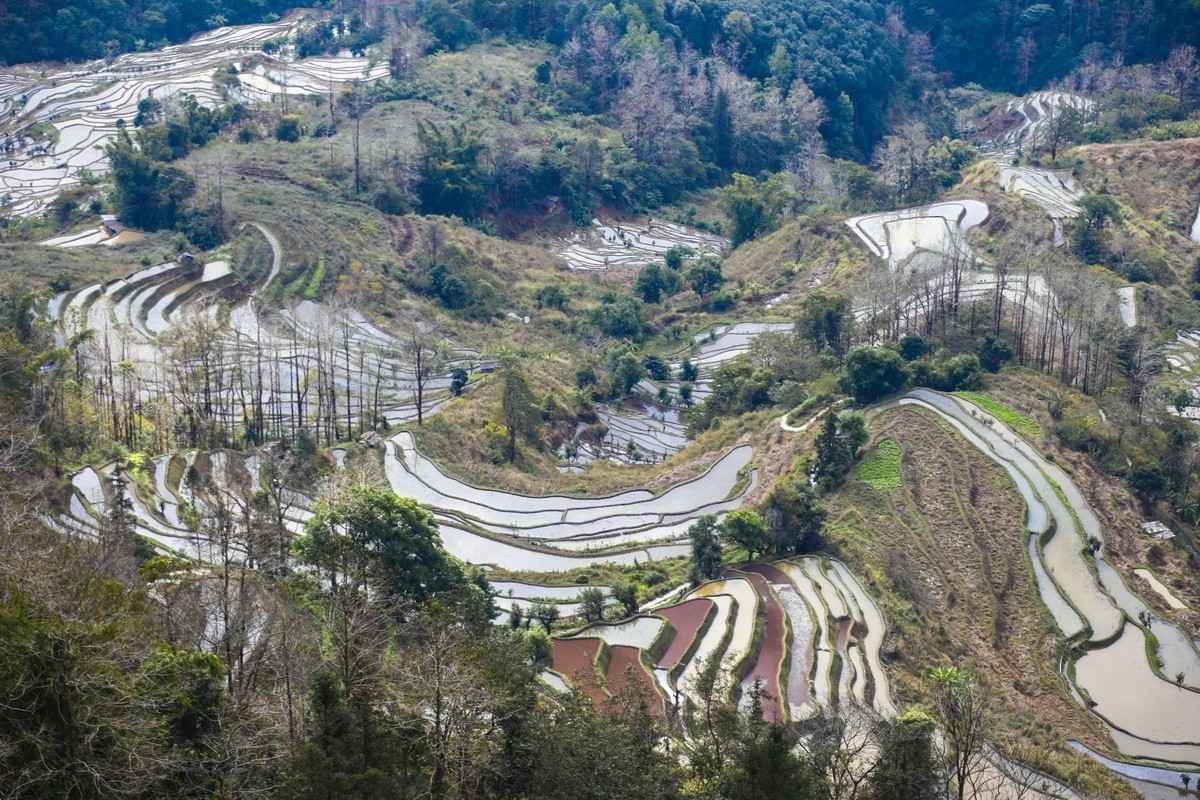 元阳梯田5-----老虎嘴梯田-中关村在线摄影论坛
