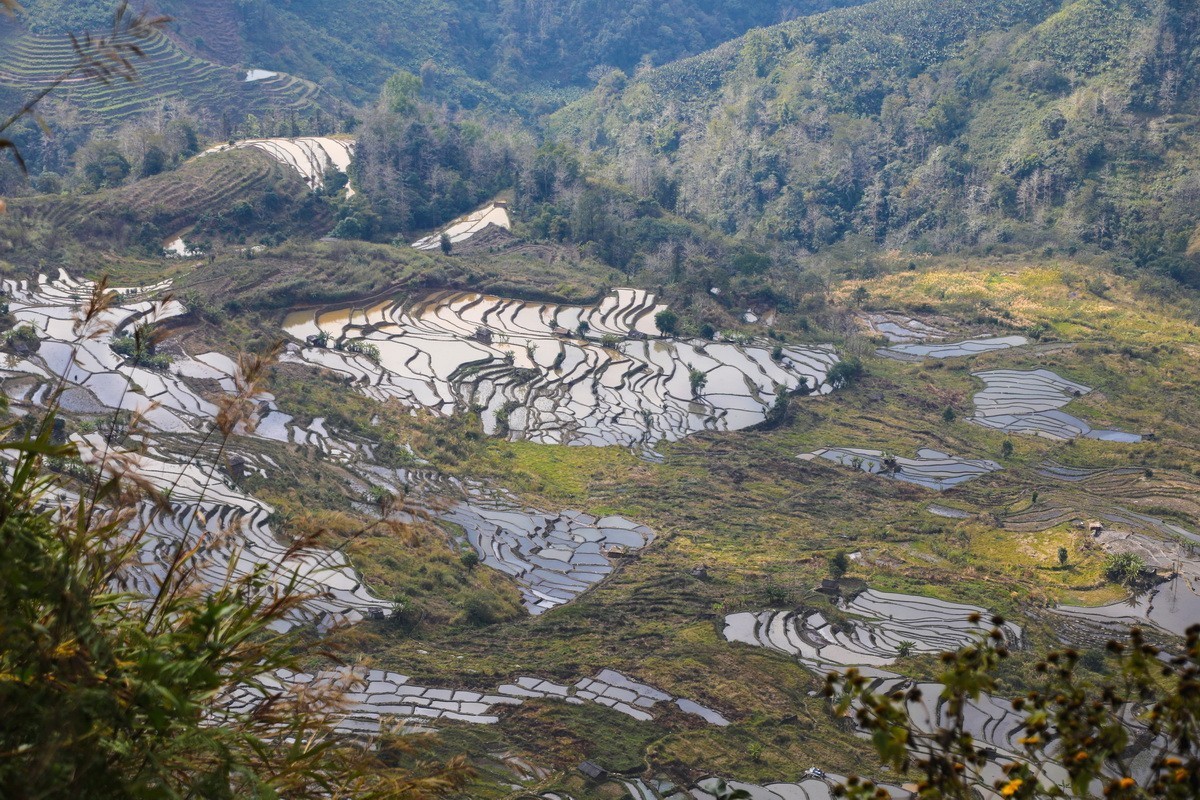 元阳梯田5-----老虎嘴梯田-中关村在线摄影论坛