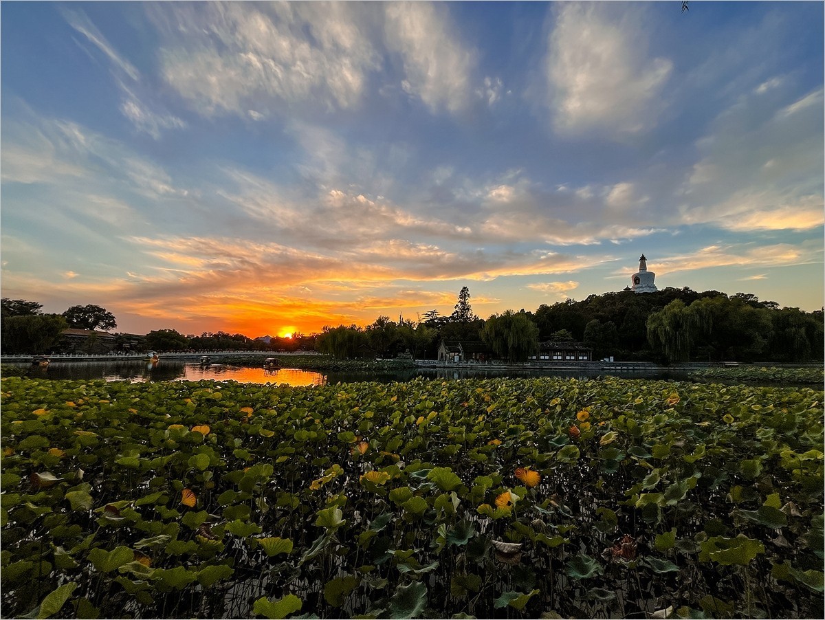 2025年- 北海公园夕阳纪实拍-0939