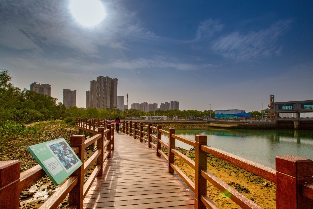 湛江金沙滩周边风景 16