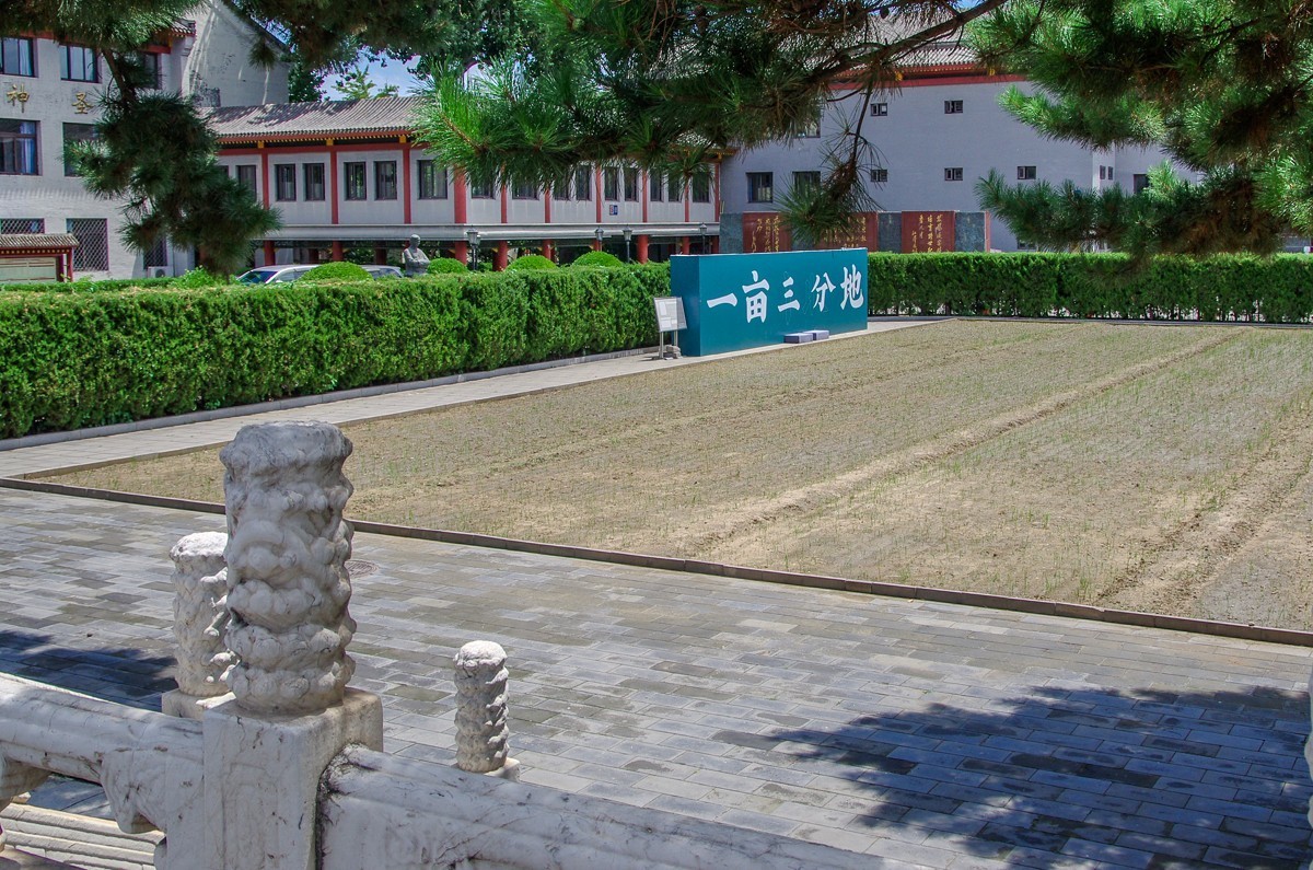一亩三分,擘画天下中关村在线摄影论坛