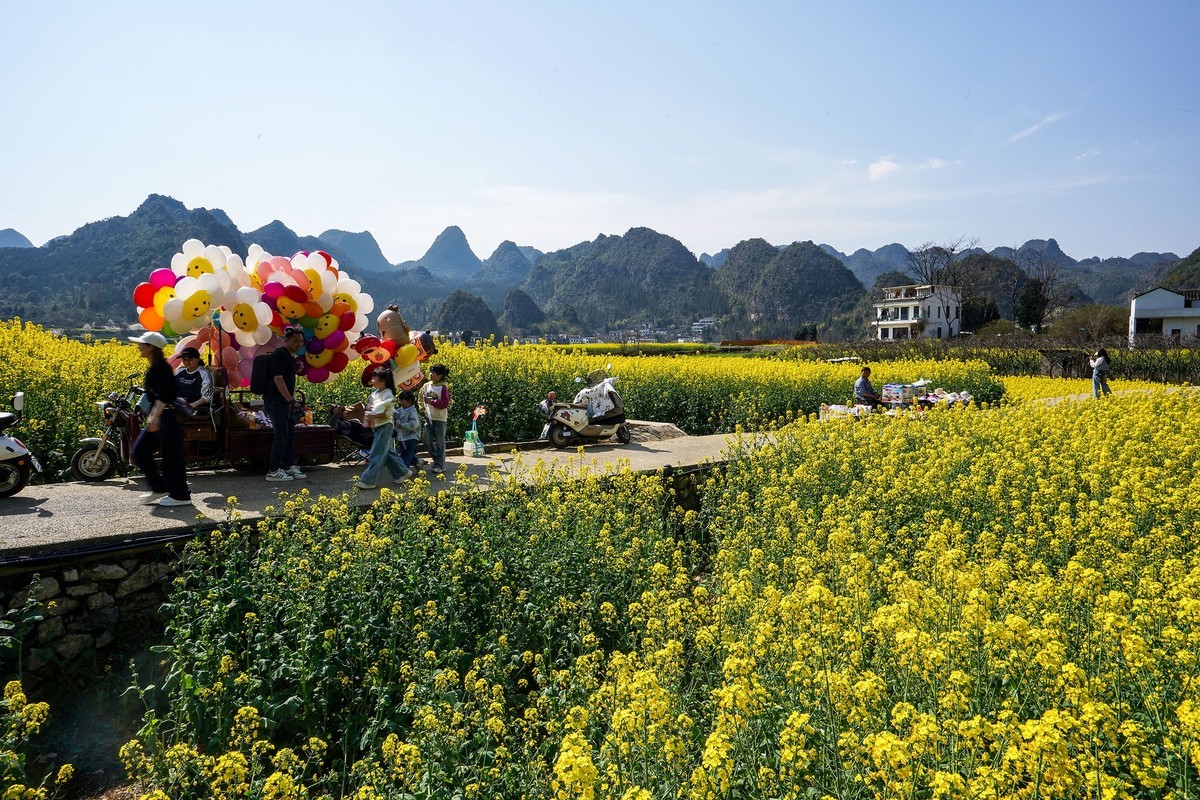 万峰林賞油菜花-2-中关村在线摄影论坛