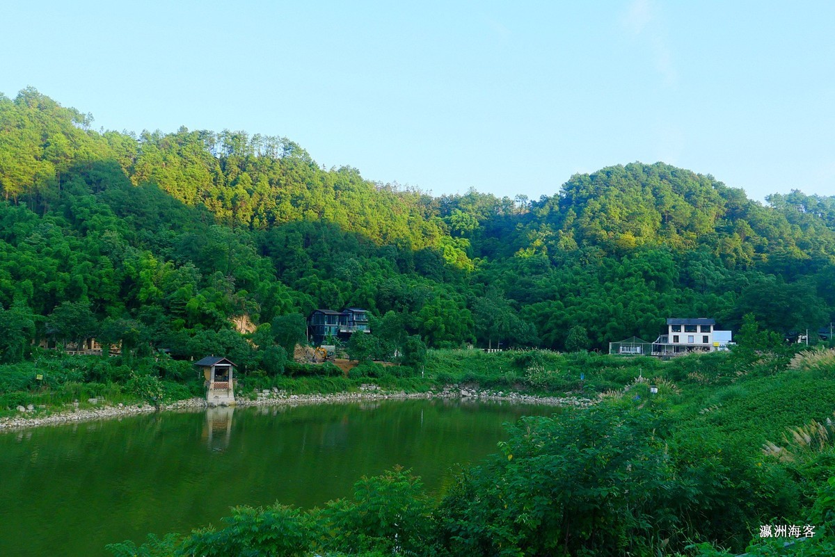 水天池，龙桂寺。芦苇