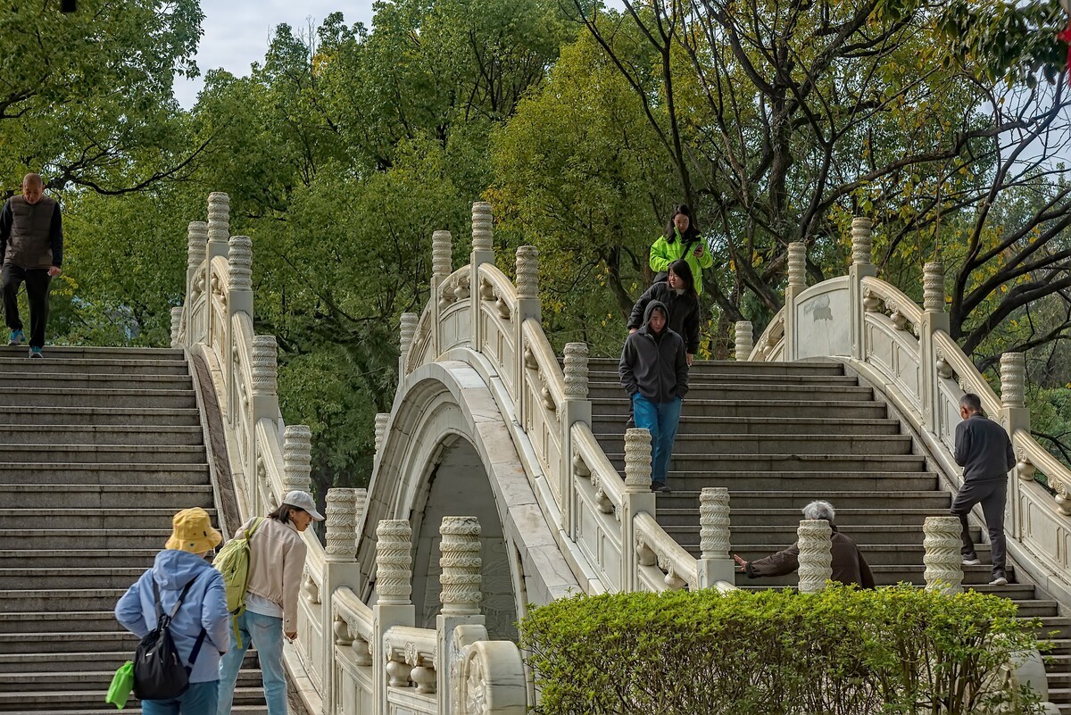 桂林 · 两江四湖之榕湖-中关村在线摄影论坛