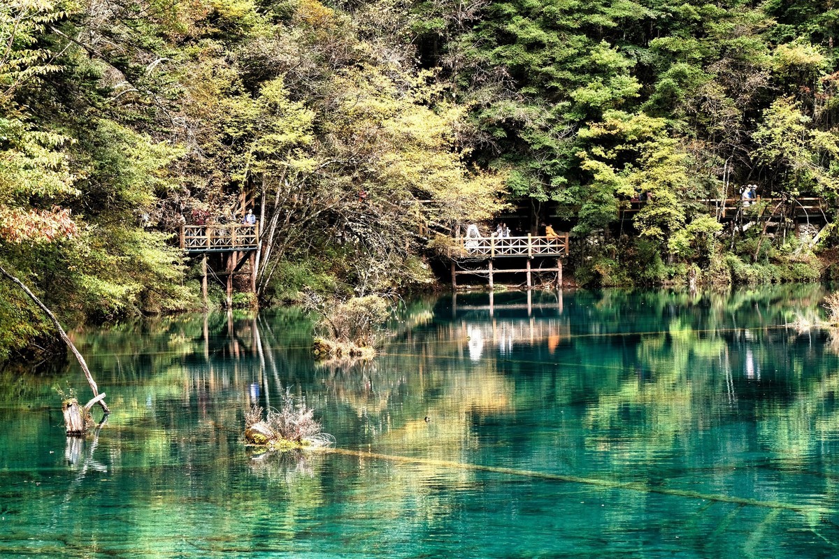 深秋九寨沟五花海景色-中关村在线摄影论坛