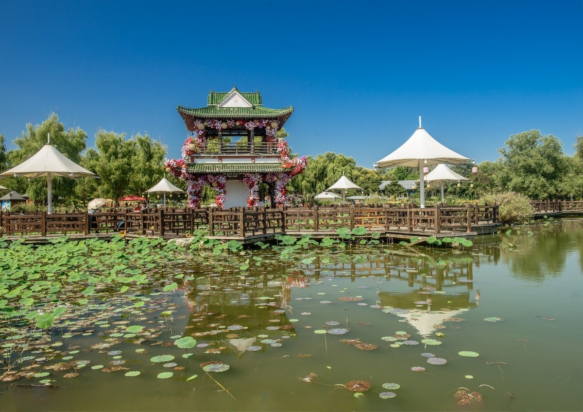 北京国际鲜花港秋景-中关村在线摄影论坛