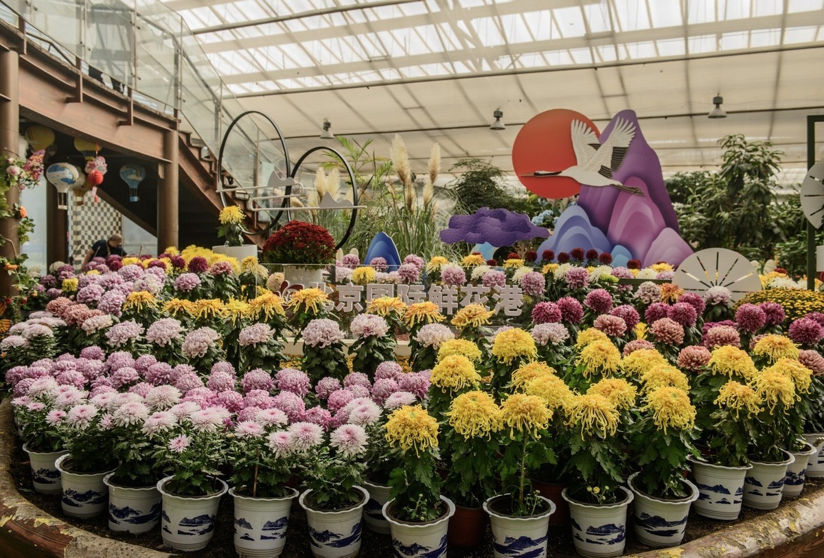 北京国际鲜花港秋景-中关村在线摄影论坛