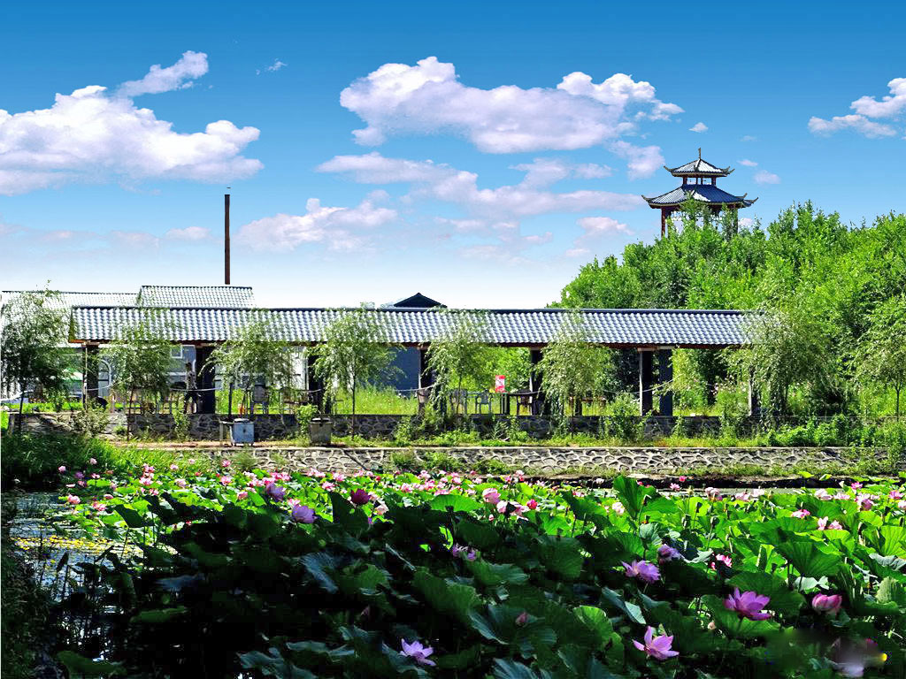 宝清县风景(荷花池)清阳山人-中关村在线摄影论坛