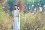 秋意浓