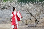 李花树下的一缕红