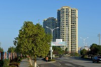 秋冬时节的街头巷尾、公园的边边角角