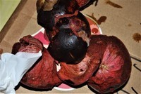 第一次拿单反拍照,处女作··超级纯小白