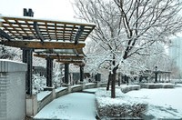 好久没传了,试试这个号还能用不