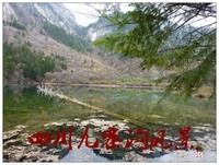 旅游随拍-----四川九寨沟风景(二)