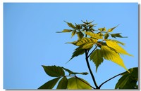 一组小光影随拍。。。