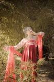 汉服一组