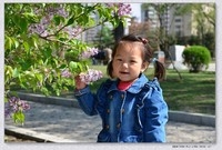 23个月的小外孙女也爱花