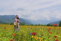 春来了 花仙子【续】