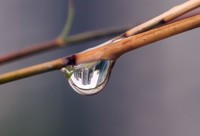 水珠里的大世界