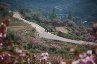 四明山上马岗赏樱之旅~~