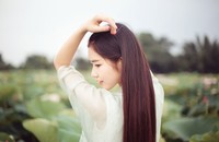 荷塘静逸美女清纯唯美