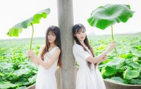 美女姐妹花荷塘边清新唯美
