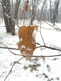 廊坊下雪了
