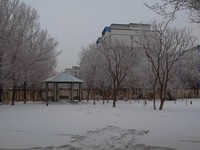 雾凇