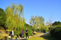 冬日小景   3