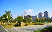冬日小景   2