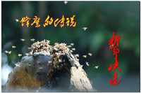 蜂鹰迎春,羊年奋进