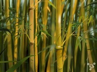 全都是用 iPad 画的图!惊艳程度不止一点点