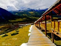 手机随拍初秋风景