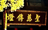深秋 阳光 银杏