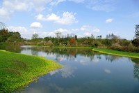 桤木河湿地公园     徕卡 V-LUX(TYP114)拍摄