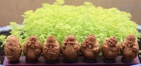 60微和百微