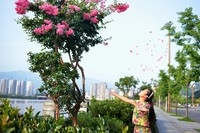 新手    各位指导    给点意见