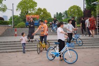 太湖贡湖湾湿地公园Ⅱ【a7m3拍摄】