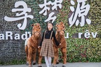 上海青浦寻梦源