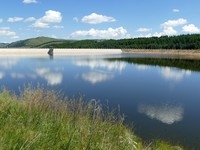 徕卡114入手一周年纪念帖