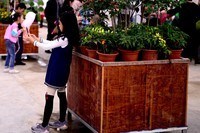 农场看蔬菜瓜果1