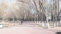 冬日街头见闻(多图)