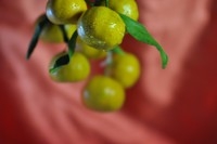 小钢炮与小纸炮之争