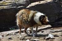 尼康d7200   18-200mm f/3.5-5.6G ED VR II 河边随拍