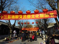 #ZOL月赛-新年#2016天津杨柳青文化节