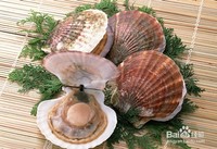 海产品如何用冷库保鲜冷藏?
